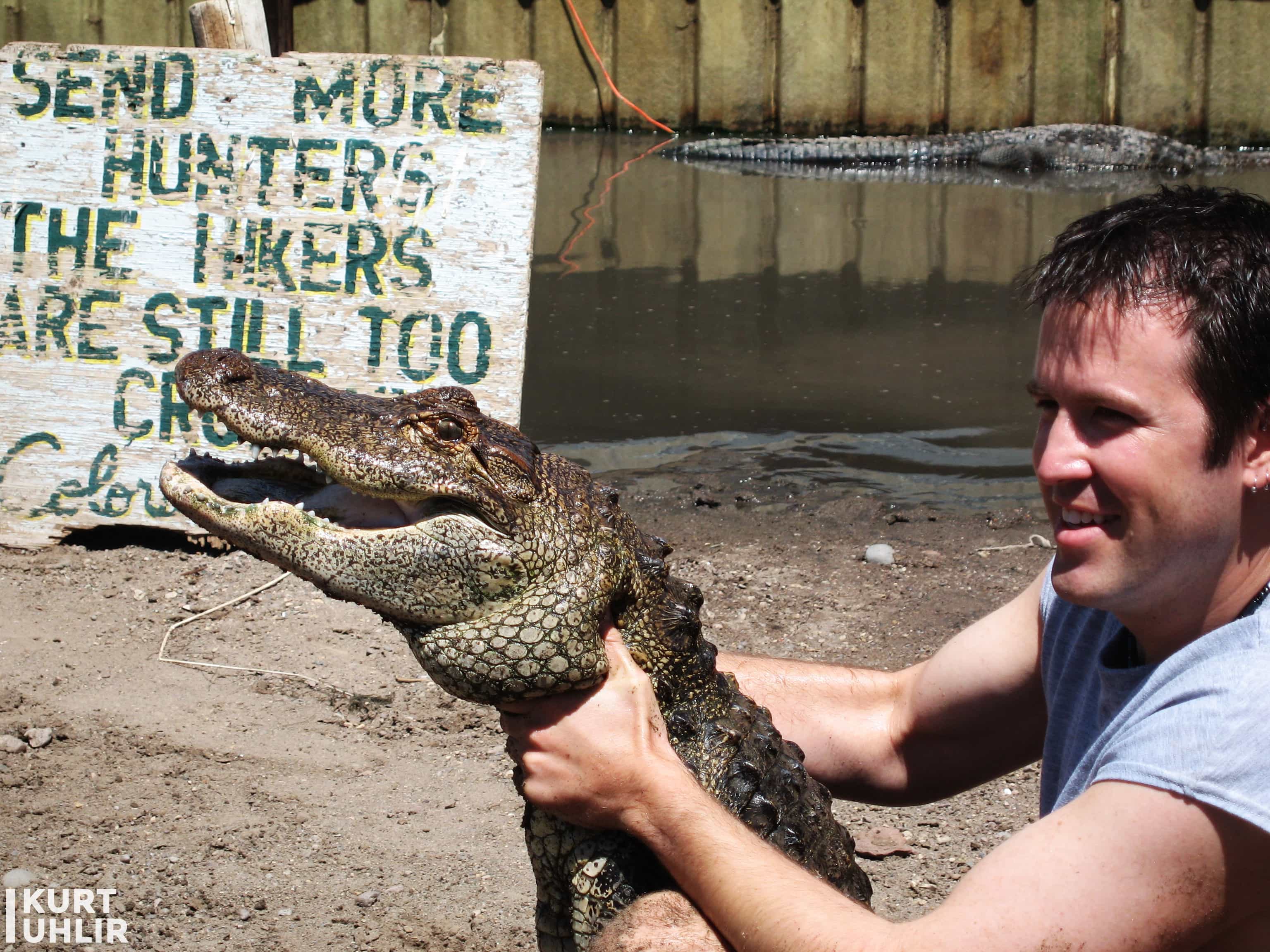 Kurt Uhlir handling a mid-sized alligator